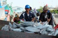 Fishers in coastal Jakarta