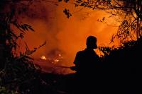 An officer is trying to extinguish fire in Kalimantan. Photo Credit: CIFOR