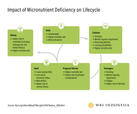 Impact of Micronutrient Deficiency on Lifecycle