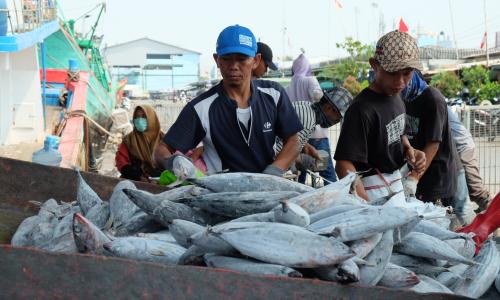 Fishers in coastal Jakarta