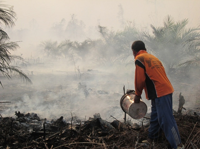 <p>Forest and peat fires in Riau, Indonesia. Photo by Julius Lawalata/WRI</p>
