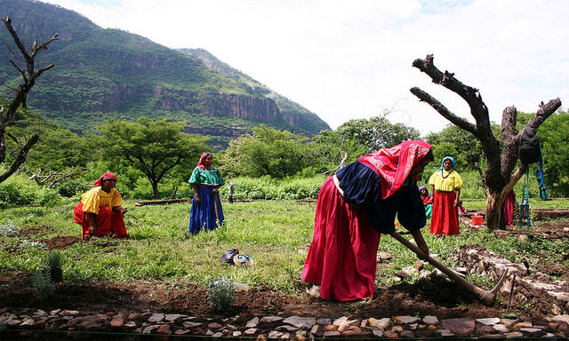 <p>Penggantian lahan dan pemukiman kembali biasanya memiliki dampak yang lebih besar bagi perempuan. Foto oleh SEMARNAT/Flickr</p>
