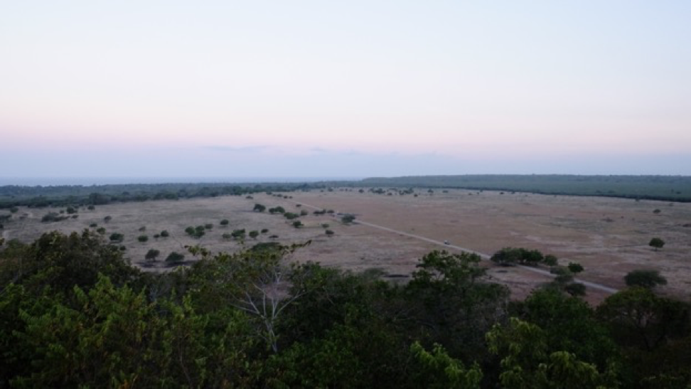 <p>View of Bekol Savannah at dusk from the top of the viewing tower</p>
