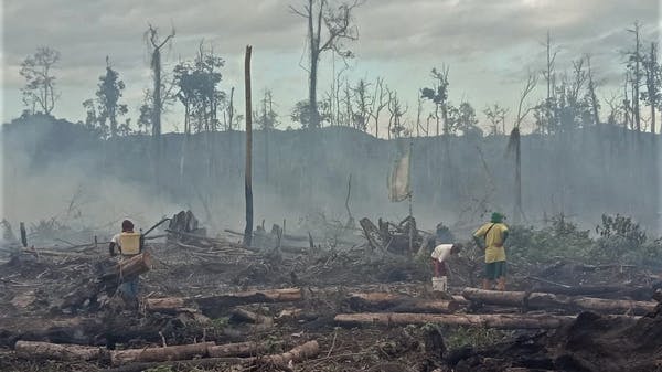<p> Dry peat that is prone to fire during the dry season is further threatened by the slash and burn practice. ANTARA FOTO/ManggalaAgni/JJ/foc</p>
