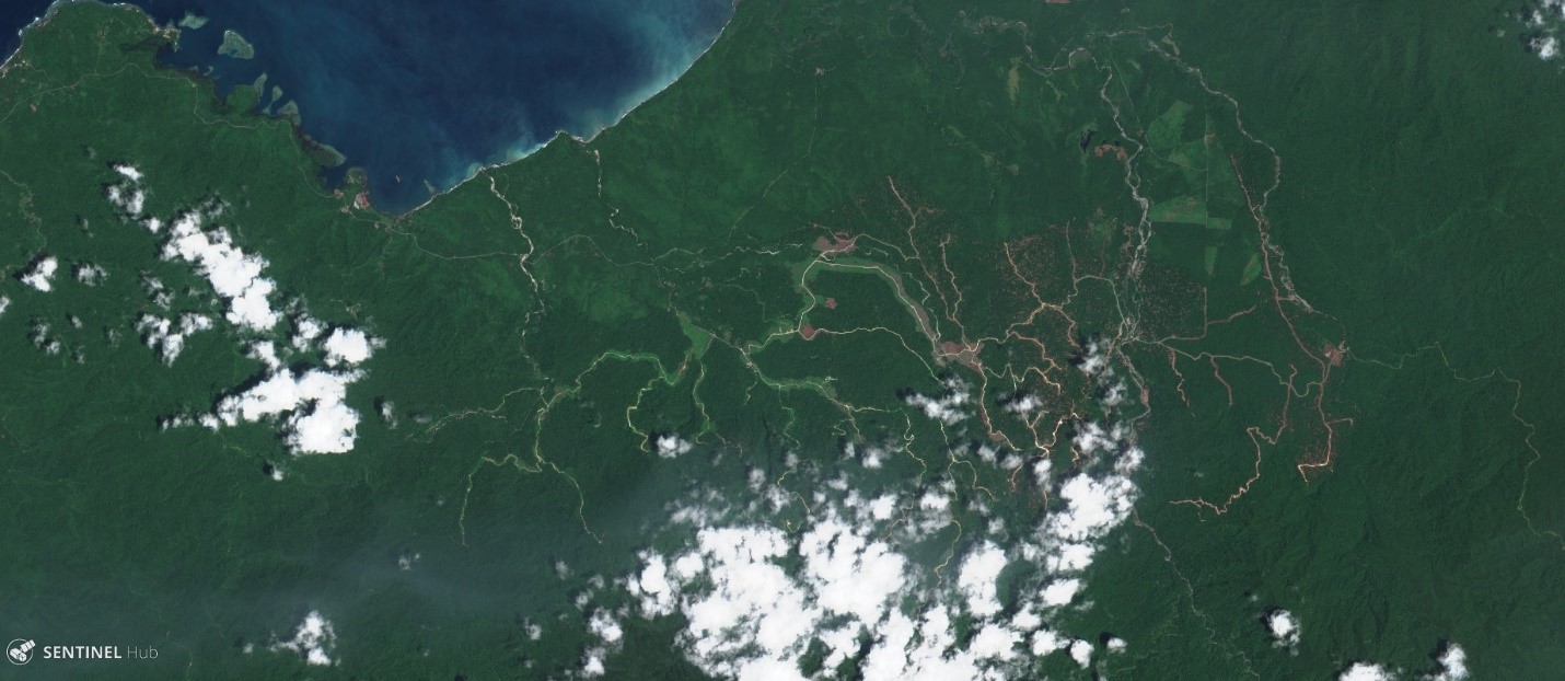 <p>Citra satelit menunjukkan jalan angkutan kayu (warna cokelat dan hijau muda) yang menembus hutan utuh di Provinsi Britania Baru Timur. Gambar dari Sentinel Hub, 28 Oktober 2017</p>
