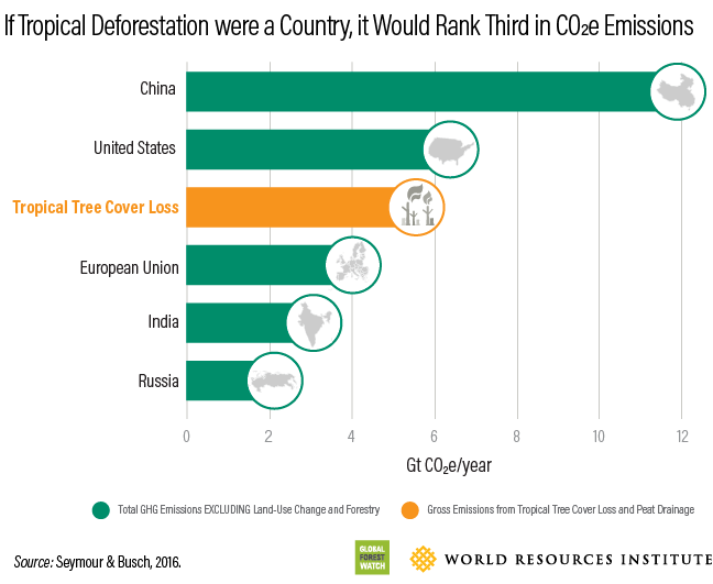 If Tropical Deforestation were a Country, it Would Rank Third in CO2e  Emissions | WRI Indonesia