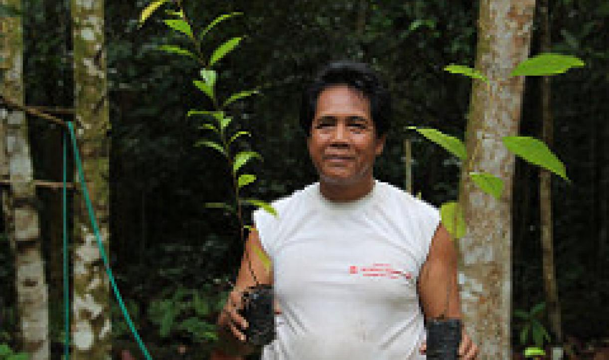 Indonesia's Commitment in Forests Restoration | WRI Indonesia