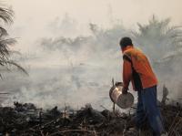 Petugas berupaya memadamkan api di Riau. Kredit foto: Julius Lawalata/WRI Indonesia