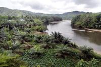 Into the wild: Subayang River, which parts the Bukit Rimbang Bukit Baling Wildlife Sanctuary, has seen numerous conflicts of interests between forest administrators and local stakeholders. (The Jakarta Post/Tarko Sudiarno)