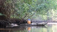 Fishermen on a boat in a mangrove forest.