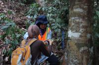Pengambilan Sampel Kayu di Taman Bukit Tiga Puluh Riau