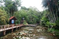 The Jewel of Southern Thailand - Toh Daeng Peat Swamp Forest.jpeg