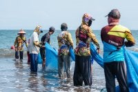 Fishermen taking out their nets at Jembrana Beach, Bali. 