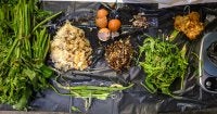 Sampah makanan di Kelurahan Nyengseret