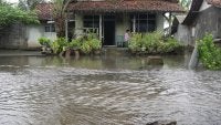 Banjir rob di Desa Wringinputih