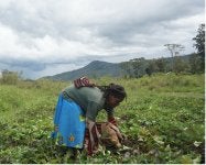 Orang Asli Papua