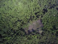 A clearing in the Republic of Congo as seen by a drone.p