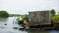 Tembok tanggul tambak udang di Banyuwangi