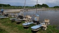 Tambak udang di Banyuwangi