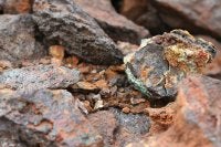 Paul alain