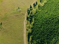 Photo by <a href="https://unsplash.com/@yohanmarion?utm_source=unsplash&utm_medium=referral&utm_content=creditCopyText">Yohan Marion</a> on <a href="https://unsplash.com/photos/a-large-green-landscape-nByLkhn1IsI?utm_source=unsplash&utm_medium=referral&utm_content=creditCopyText">Unsplash</a>
