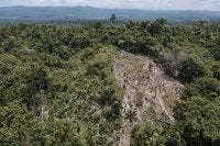 Lanscape Papua