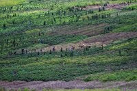 Spatial di Wamena