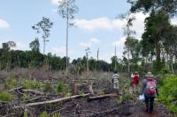 Community groups visit a site of tree clearing in Riau, Indonesia. Flickr/WRI