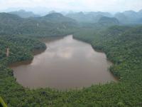 Peru's Cordillera Azul National Park. Photo by Tadd and Debbie Ottman/Wikimedia Commons
