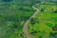 The FORMA team, which started at the Center for Global Development and moved to the Data Lab at WRI, was inspired by the DETER and SAD forest monitoring systems covering the Brazilian Amazon. Photo Credit: CIFOR/Flickr 2011