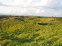 Degraded land in West Kalimantan, Indonesia. Photo credit: Sekala