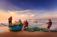 Fishermen's livelihoods are threatened by unreported catch. Photo by Quangpraha/Pixabay