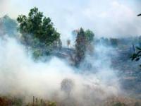 Fires burning in Palangkaraya, Central Kalimantan, 2011. Credit: Rini Sulaiman/Norwegian Embassy
