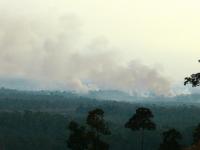 Kebakaran hutan di Kalimantan Barat, Indonesia. Sumber Foto: Billy Gabriel/Flickr