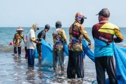 Fishermen taking out their nets at Jembrana Beach, Bali. 