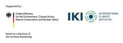 IKI 2050 Now Project Logo
