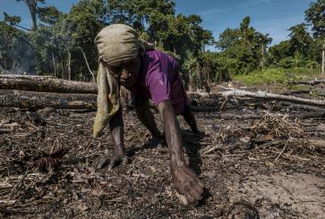 Perempuan sedang membersihkan lahan untuk berkebun
