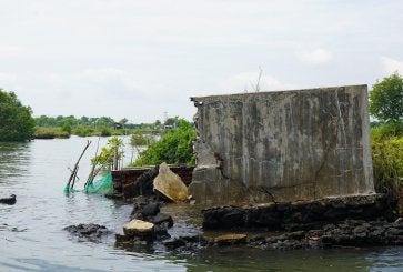 Tembok tanggul tambak udang di Banyuwangi