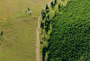 Photo by <a href="https://unsplash.com/@yohanmarion?utm_source=unsplash&utm_medium=referral&utm_content=creditCopyText">Yohan Marion</a> on <a href="https://unsplash.com/photos/a-large-green-landscape-nByLkhn1IsI?utm_source=unsplash&utm_medium=referral&utm_content=creditCopyText">Unsplash</a>