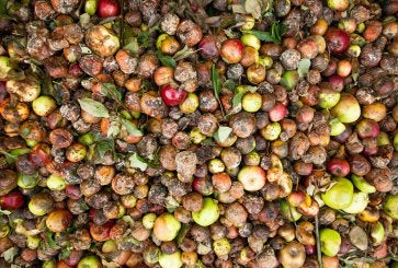 food waste