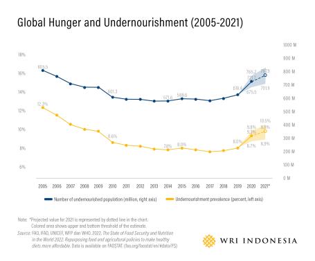 Global Hunger and Undernourishment (2005-2021)