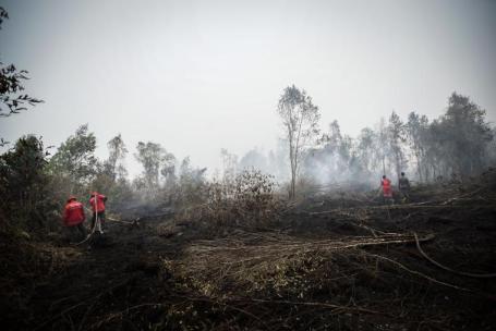 Peatland fires in Riau, Sumatra
