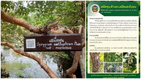  The use of barcode to ease the visitors knowing more about the plant in Toh Daeng Peat Swamp Forest