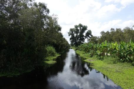 A canal that is used as waterways for transportation when conducting forest patrol, forest management, and forest protection activities. Photo credit: Eli Nur Nirmala Sari