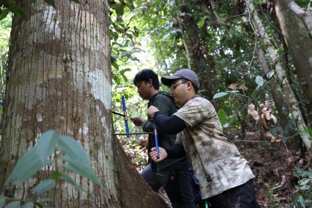 Pengambilan Sampel di Taman Nasional Bukit Tiga Puluh oleh Tim Peneliti IPB dan WRI Indonesia