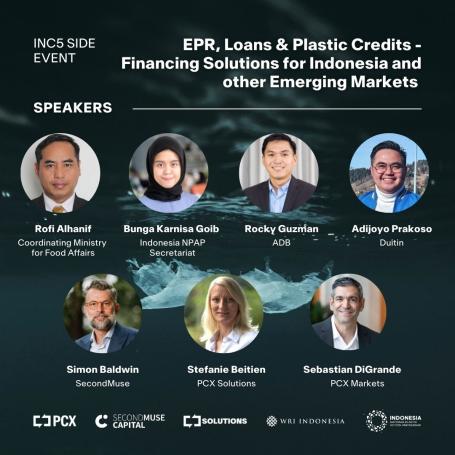 EPR, Loans, and Plastic Credits