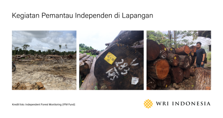 foto pemantau independen