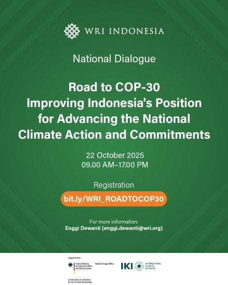 Road to COP30 Final
