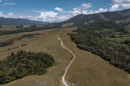 Ekosistem sabana di Tambrauw, salah satu bagian bentang Alam Mahkota Permata Tanah Papua