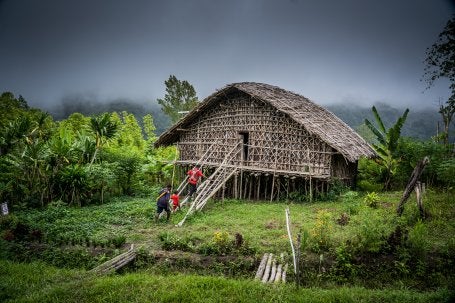 Rumah Kaki Seribu, rumah tradisional masyarakat adat di Pegunungan Arfak